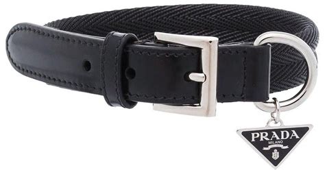 prada dog colar|designer male dog collars.